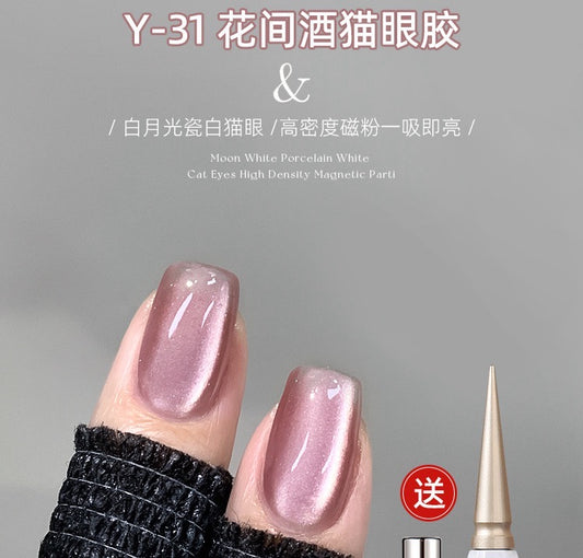 Y31